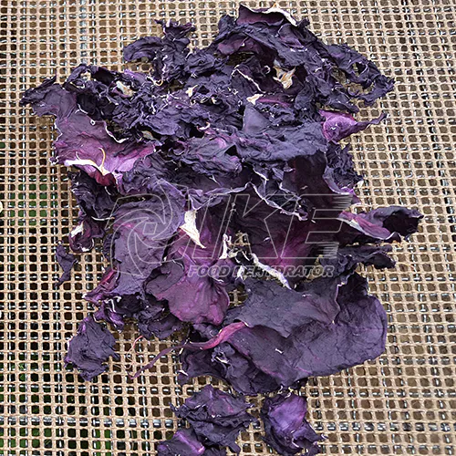 Red Cabbage Dehydrator